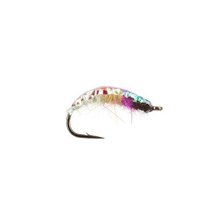 Rainbow Czech Nymph