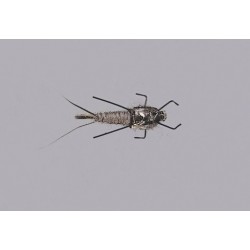 Rainys Gray Real Meal Nymph Weighted