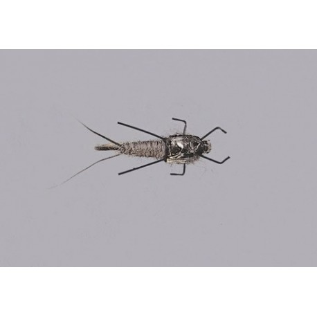 Rainys Gray Real Meal Nymph Weighted