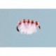 Rainys Pink Bead Back Scud