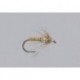 Rainys PMD Soft Hackle Biot