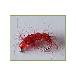 Red Bead Larva