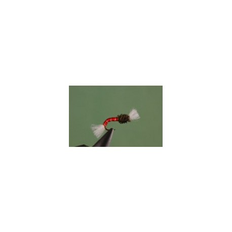 Red Buzzer