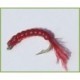 Red Mosquito Larva