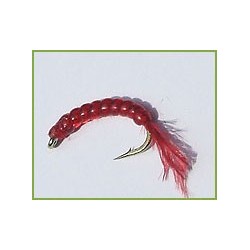 Red Mosquito Larva