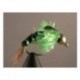 Beadhead Steelhead Stonefly Chartreuse