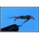 Red Tag Diawl Bach