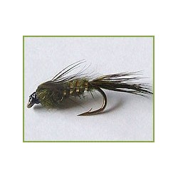 Remerger Olive