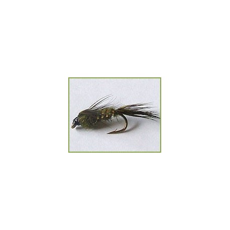 Remerger Olive