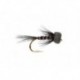 Rob's Foam Head Black Cruncher
