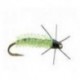 Rockworm caddis