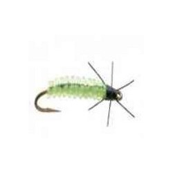 Rockworm caddis