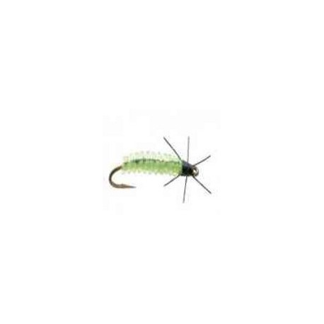 Rockworm caddis