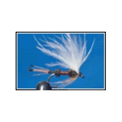 Royal C Marabou