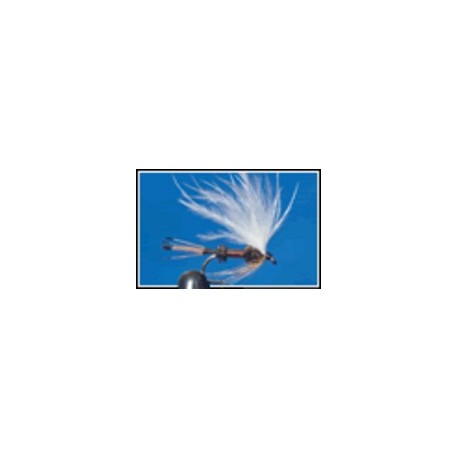 Royal C Marabou