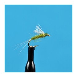 RS Olive