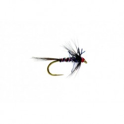 RS Nemo Black