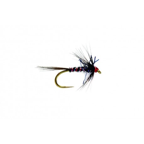 RS Nemo Black