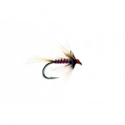 RS Nemo