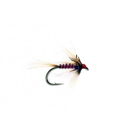 RS Nemo