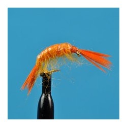 Scud Orange
