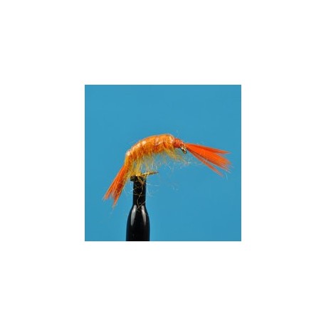 Scud Orange