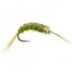 Scud Olive