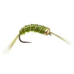 Scud Olive