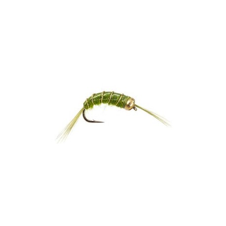 Scud Olive