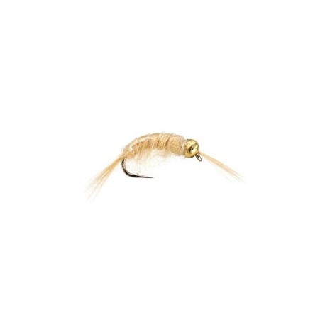 Scud Tan