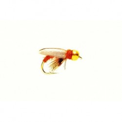 Sedge Pupa (Gold Nugget)