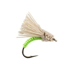 Serendipity Green