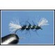 Shipman's Buzzer Black