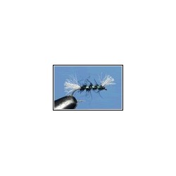 Shipman's Buzzer Black
