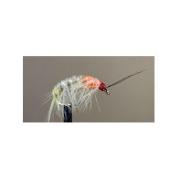 Shrimp Kenya