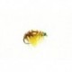 Shrimp Olive (Gold Nugget)