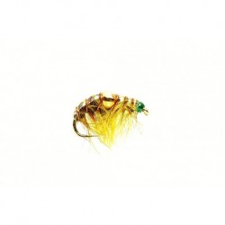Shrimp Olive (Gold Nugget)
