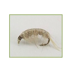 shrimp tan