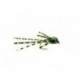 Sili Bug