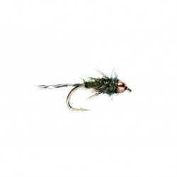 Soft Body Olive