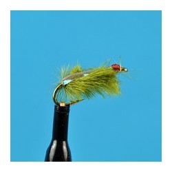 Sow Bug Olive