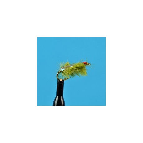 Sow Bug Olive