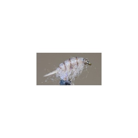 Sowbug (Tan)