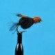 Sparkle Caddis Pupa Brown
