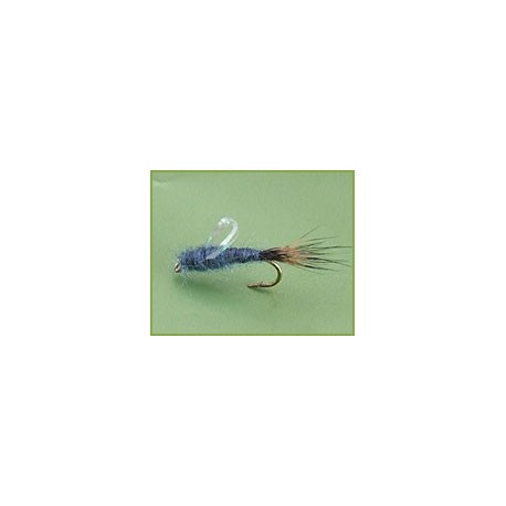 Sparkle Wing