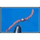 Spectral Bloodworm