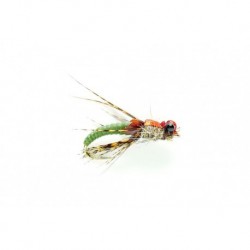 Steve's Pupa Olive