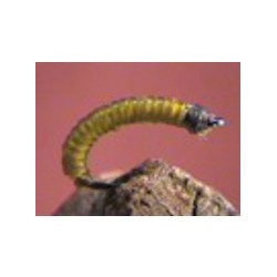 Steve's Willow Grub