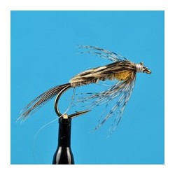 Stonefly Creeper