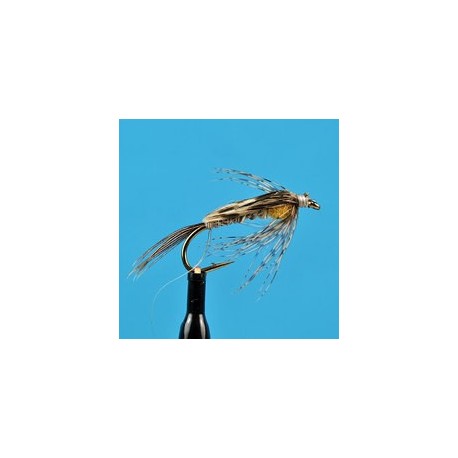 Stonefly Creeper